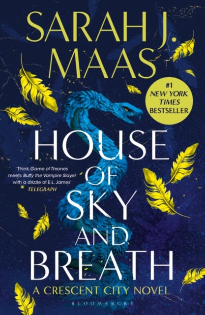 House of Sky and Breath - Sarah J Maas